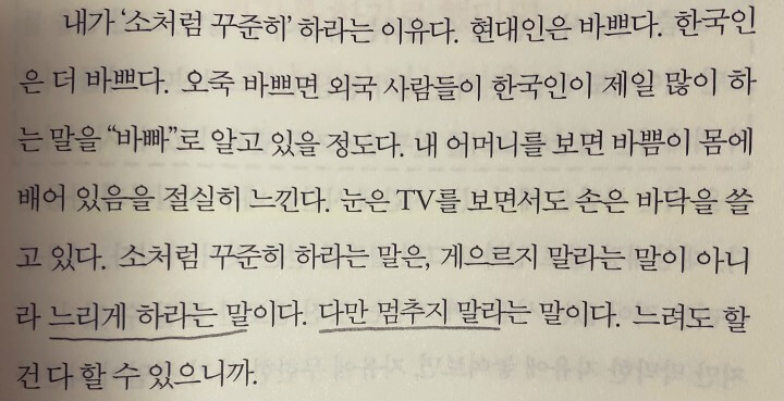 소처럼-꾸준히-하라