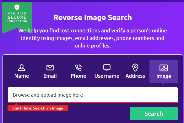 Social Catfish 이미지 검색