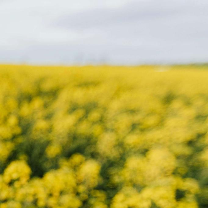 재직 중 청년도 청년 월세 지원 받을 수 있을까? 직접 확인해봤습니다