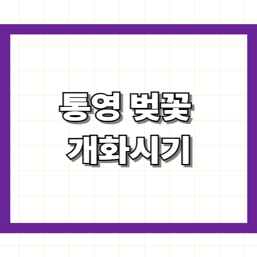 통영 벚꽃 개화시기