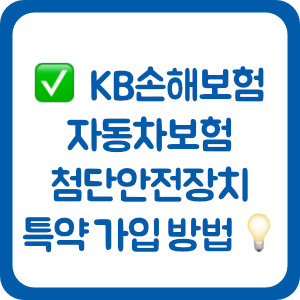 KB손해보험 자동차보험 첨단안전장치 특약 가입 방법