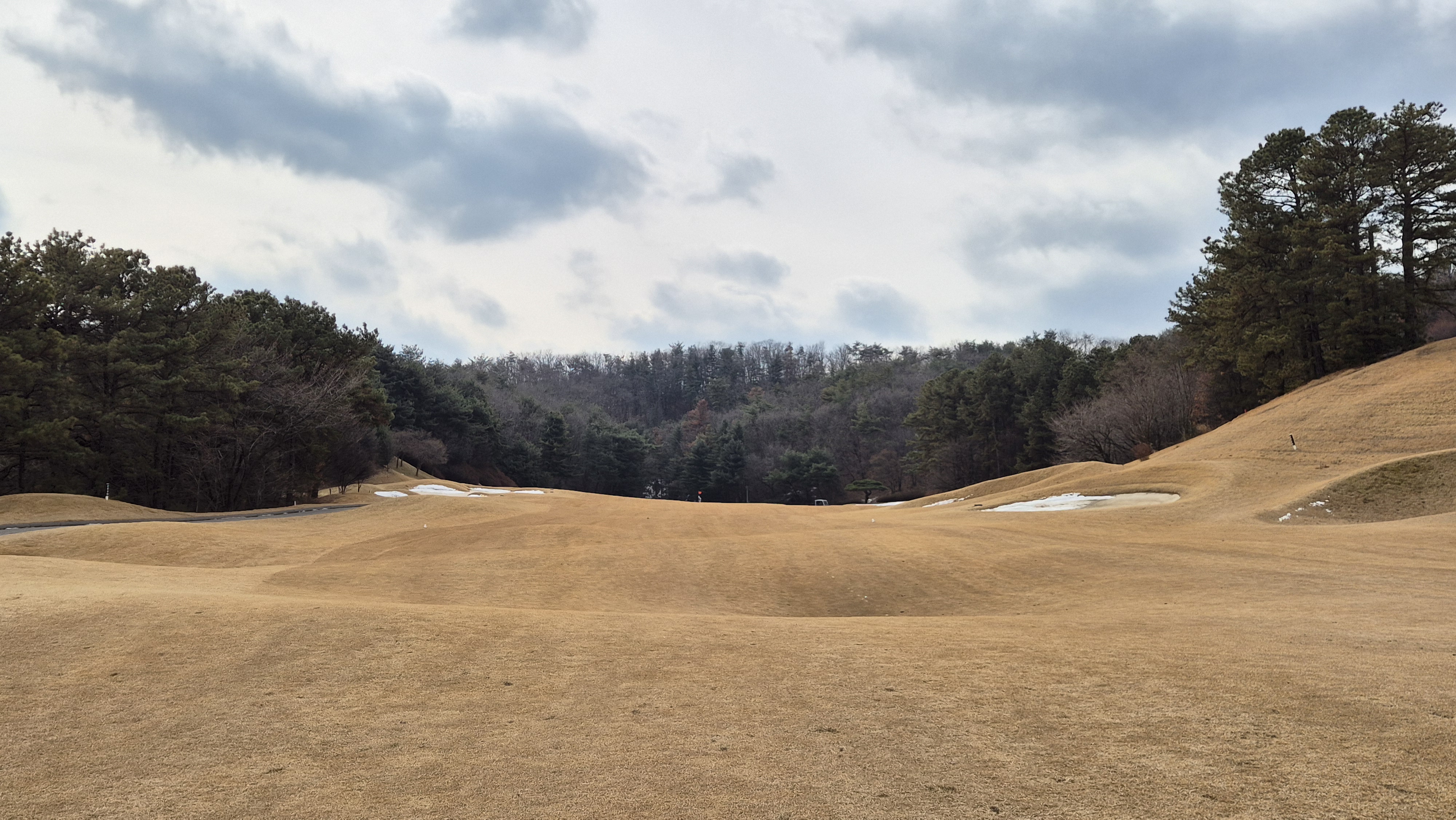 아도니스cc 동-서 코스 사진 및 공략 정보