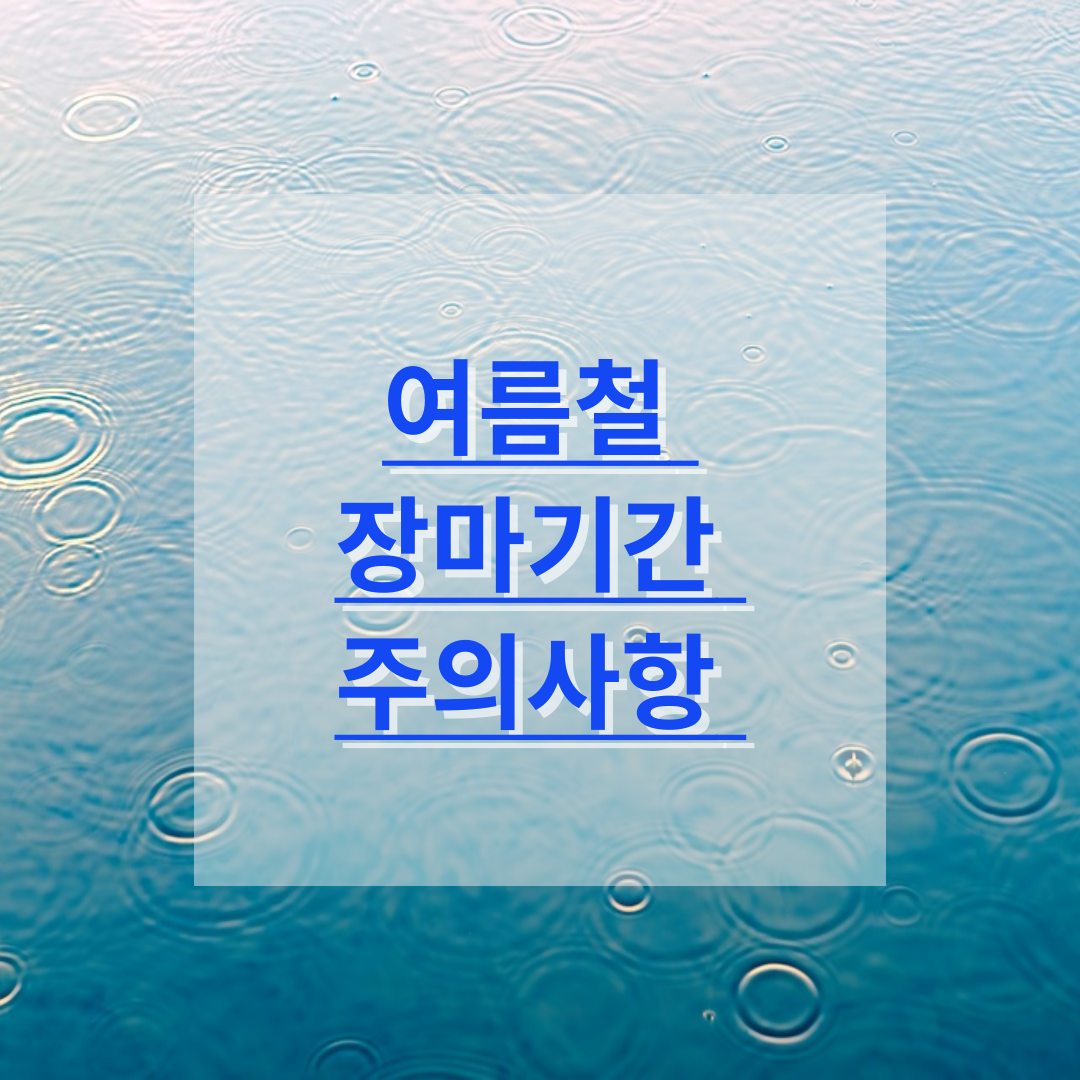 여름철 장마기간 주의사항