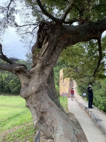 공주 가볼만한곳 베스트10 현지인 추천 필수코스_23