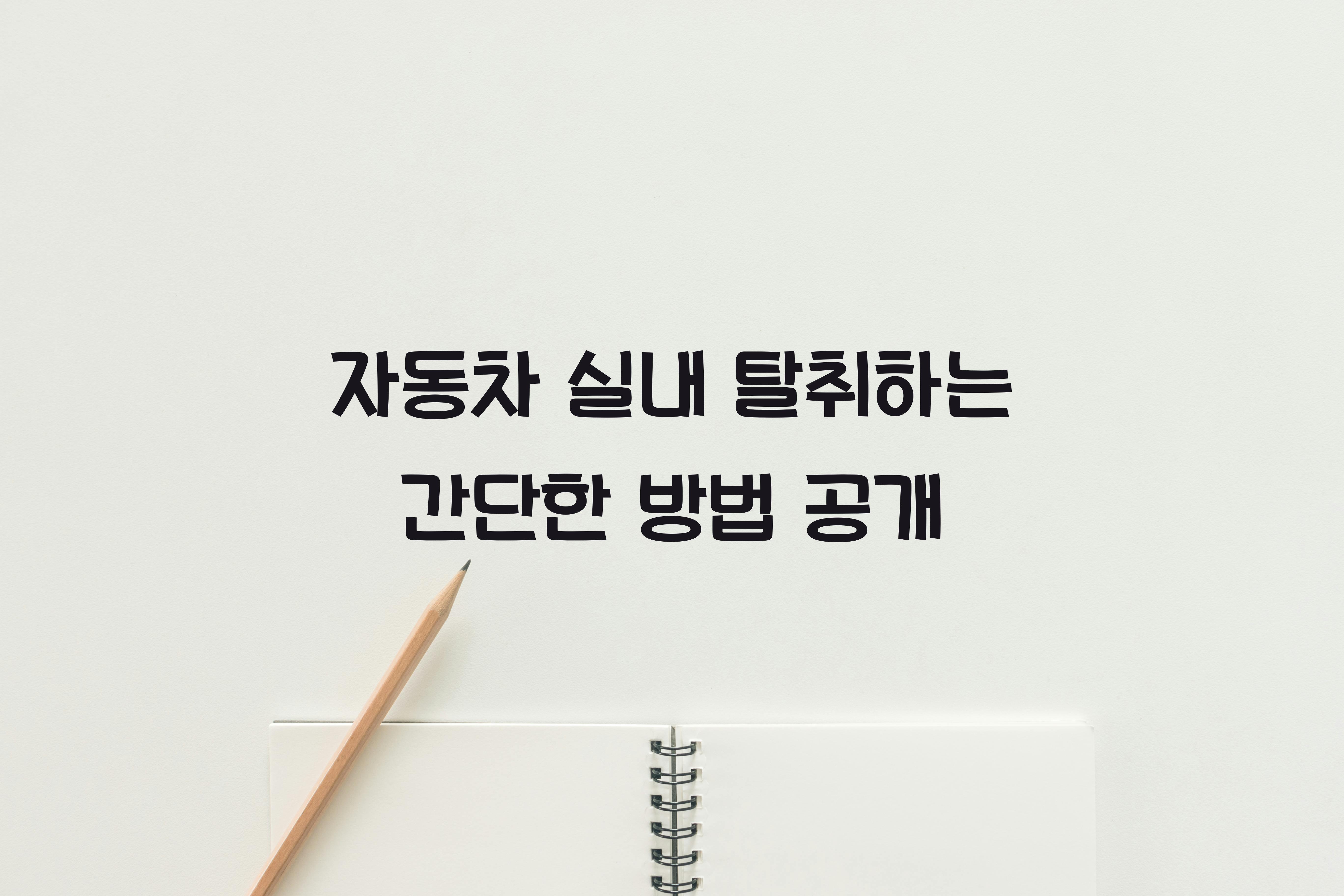 자동차 실내 탈취하는 간단한 방법