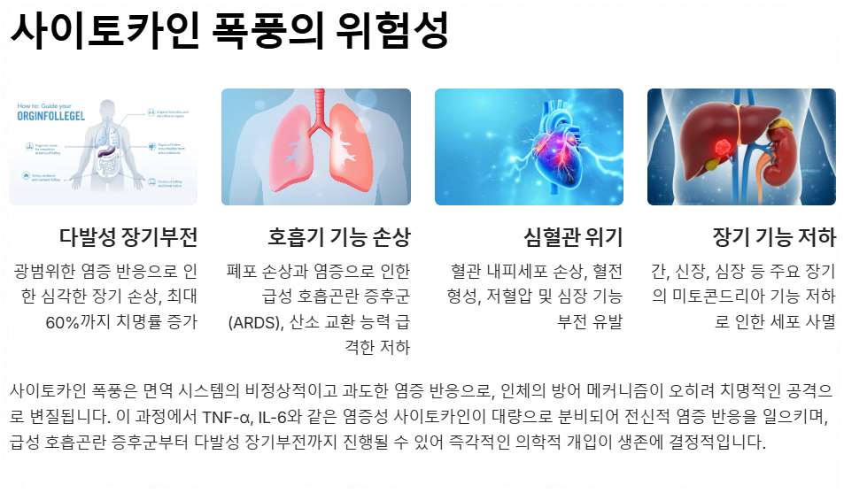 사이토카인 폭풍의 위험성