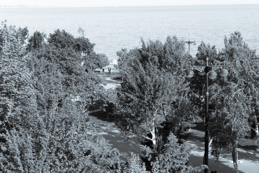Land office.