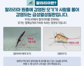 말라리아 전국 13개 무료 검역소 확인하기 증상 예방접종