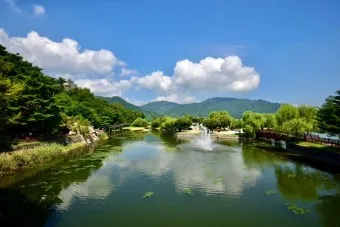 제천 맛집 베스트10 현지인 숨겨진 맛집_19
