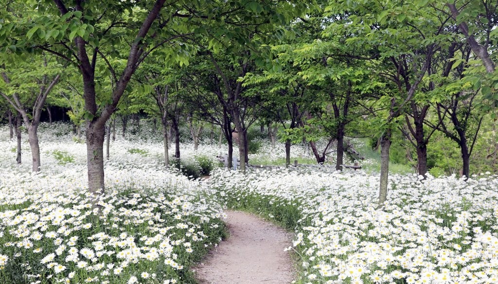 부안 변산수목원 관람 가이드 ❘ 이용 정보·산책 코스·계절별 포인트 총정리