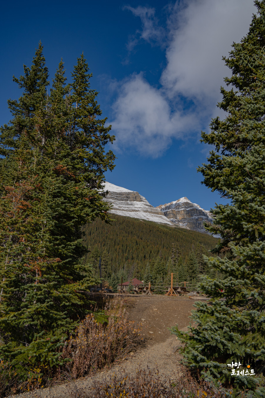 보우 레이크 숲길
