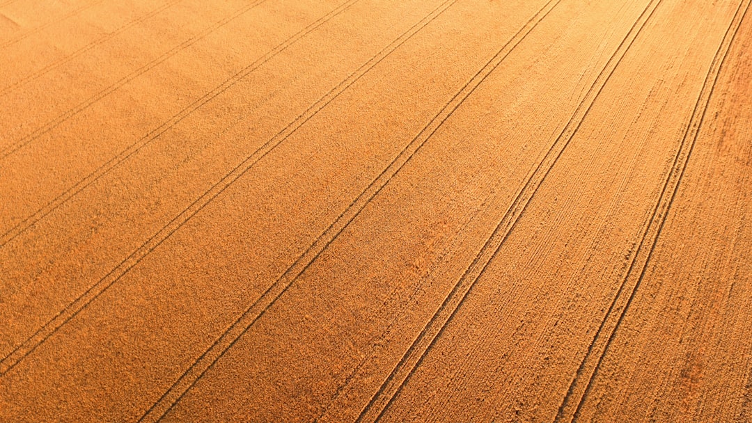'Yield'