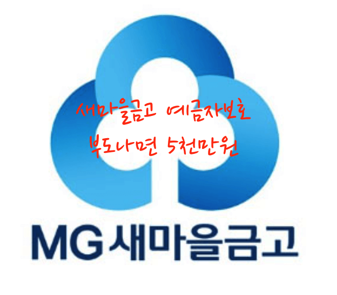 새마을금고 부도