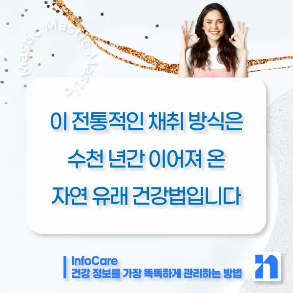 매스틱 효능 복용법 매스틱검