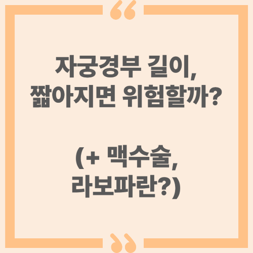 자궁경부 길이, 짧아지면 위험할까? (+맥수술, 라보파란?)