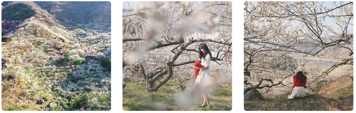 국내여행추천 02