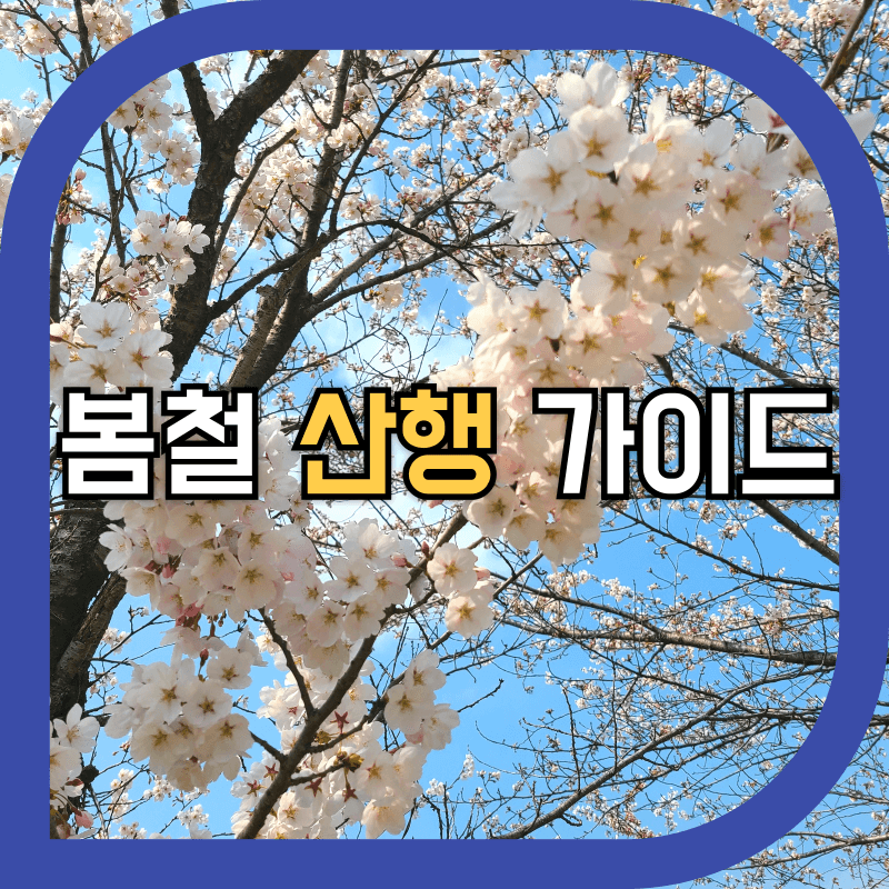 봄을 나타내는 벗 꽃 사진