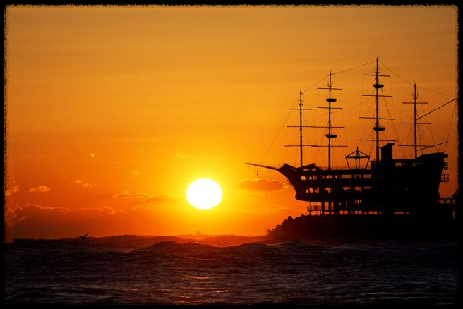 2025 을사년 뱀의 해 새해 인사말 모음