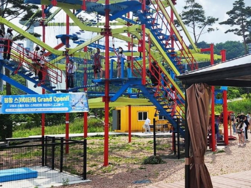 평창짚라인 체험 평창여행