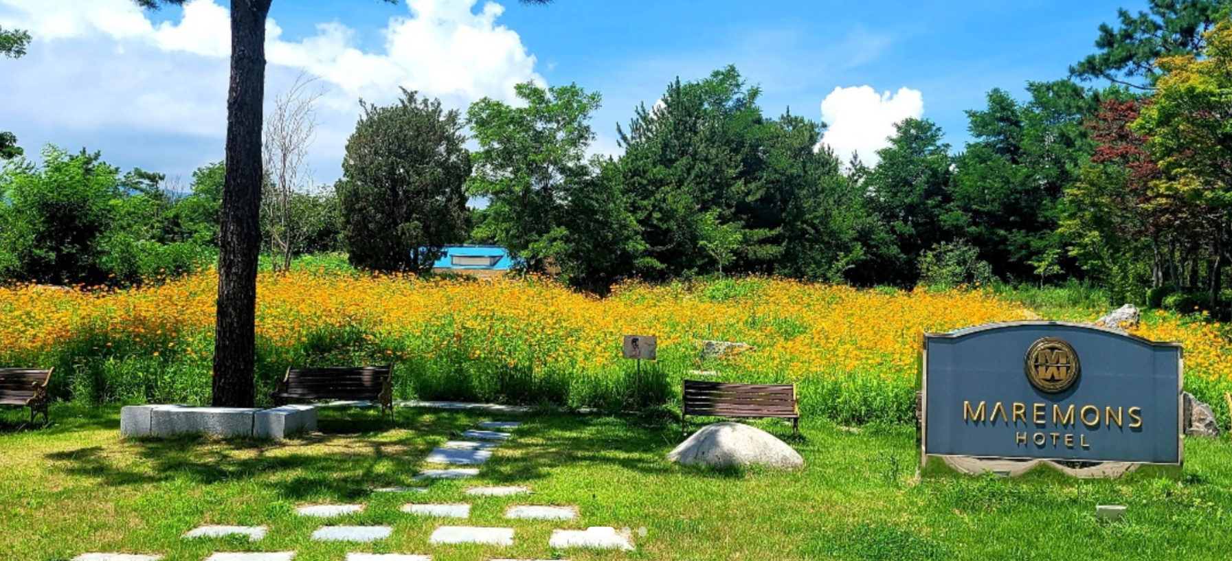 속초 워케이션 호텔 마레몬스