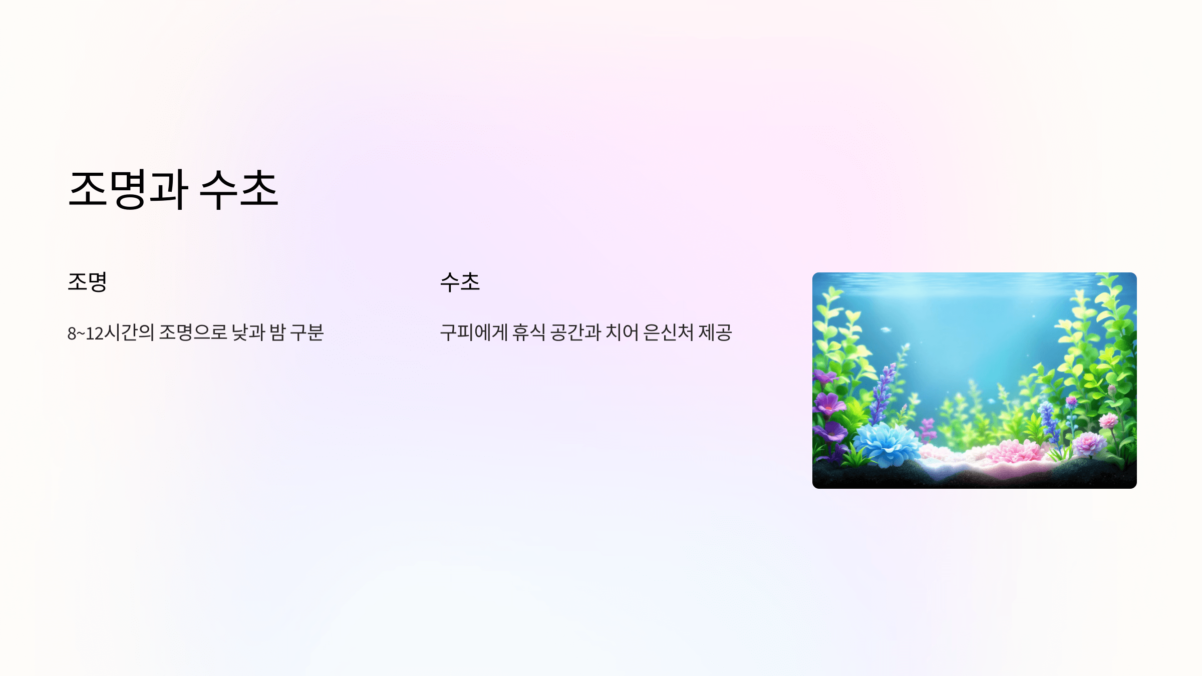 구피 사진입니다.