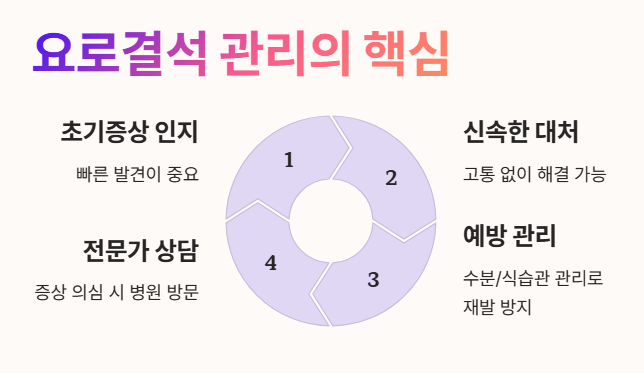 요로결석 관리의 핵심 방법