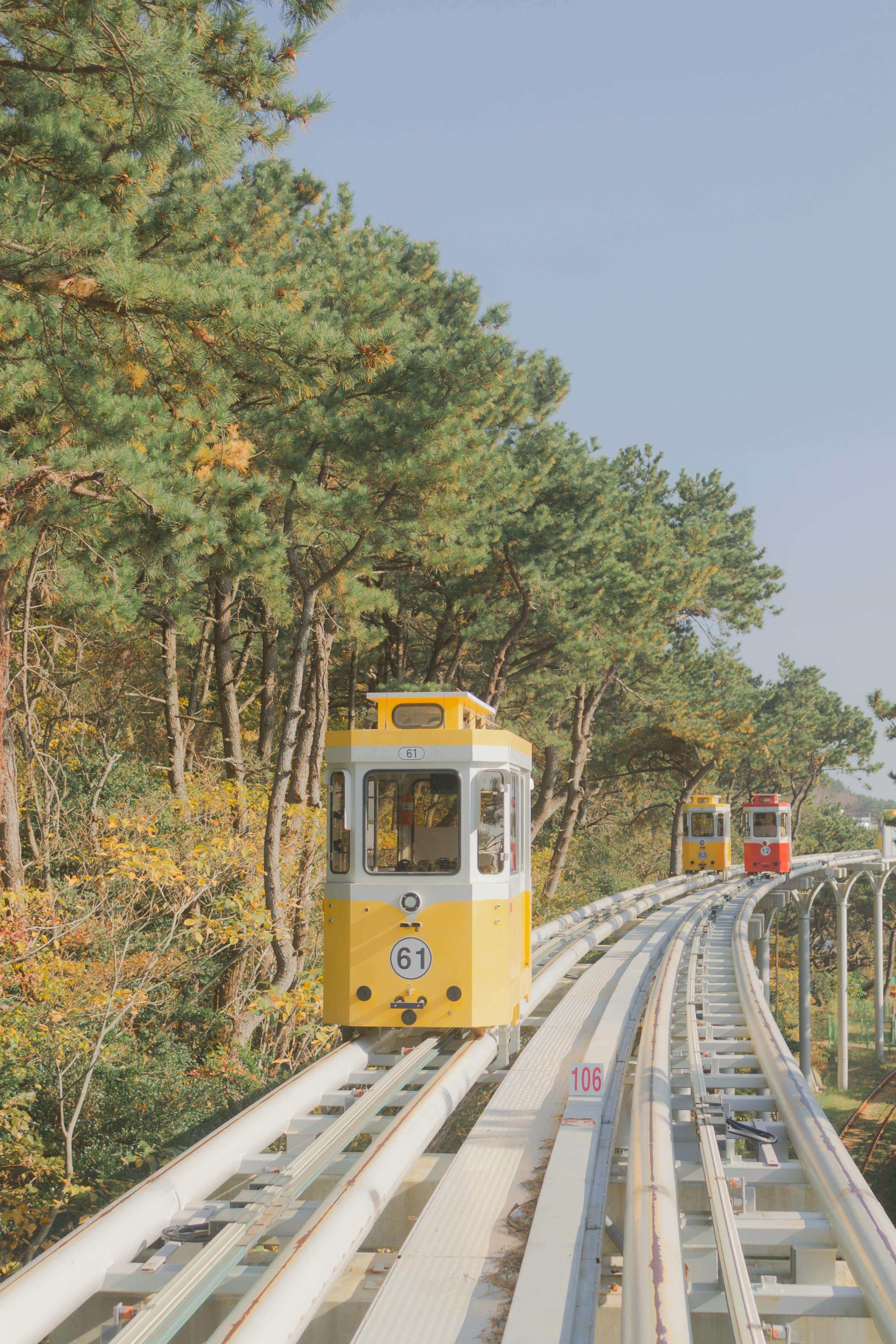 KTX 취소 수수료 인상!! (+ 시간&amp;#44; 위약금&amp;#44; SRT)