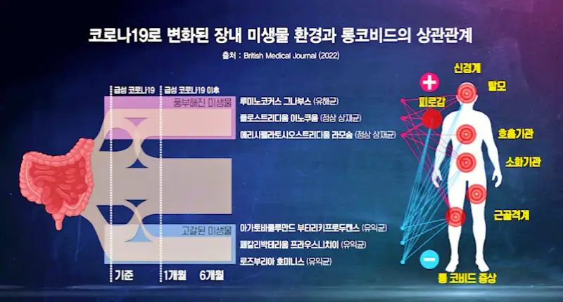 KBS 생로병사의 비밀 827회 재유행 코로나 연대기 2부 끝나지 않는 고통 코로나 후유증 롱코비드
