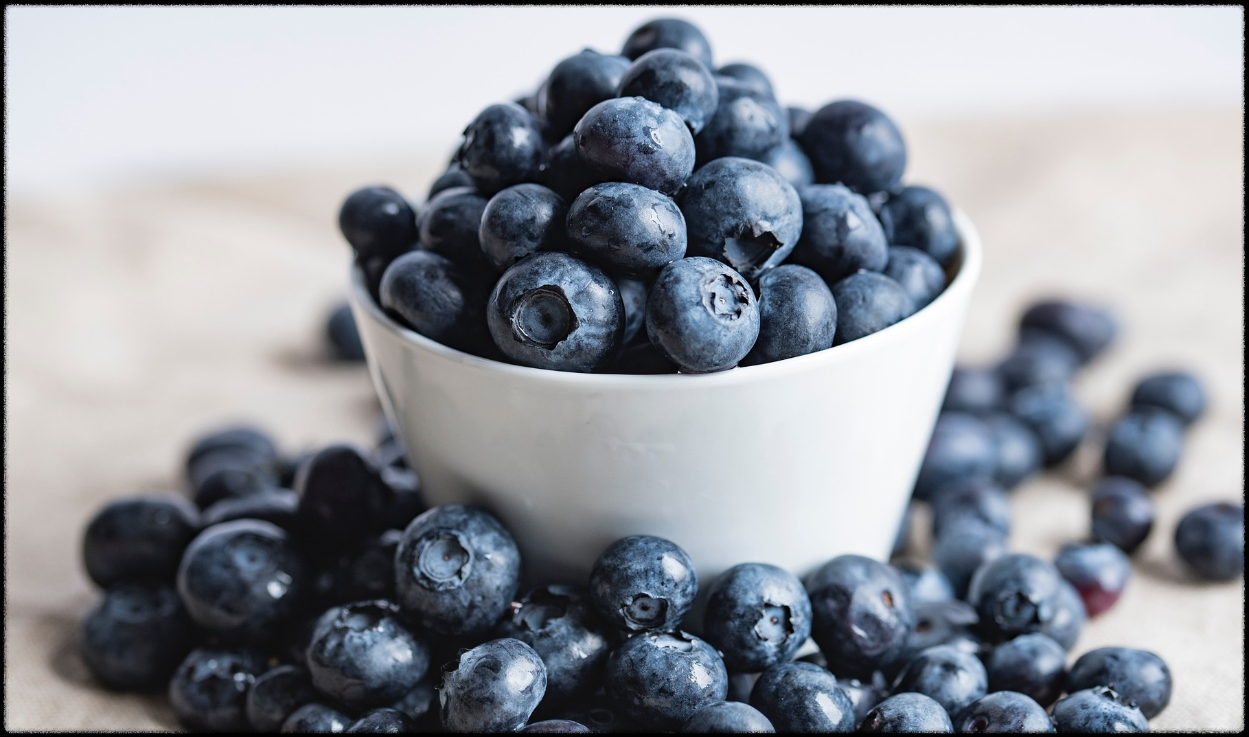 블루베리 효능 이미지_9