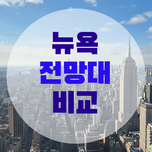 뉴욕 전망대 사진