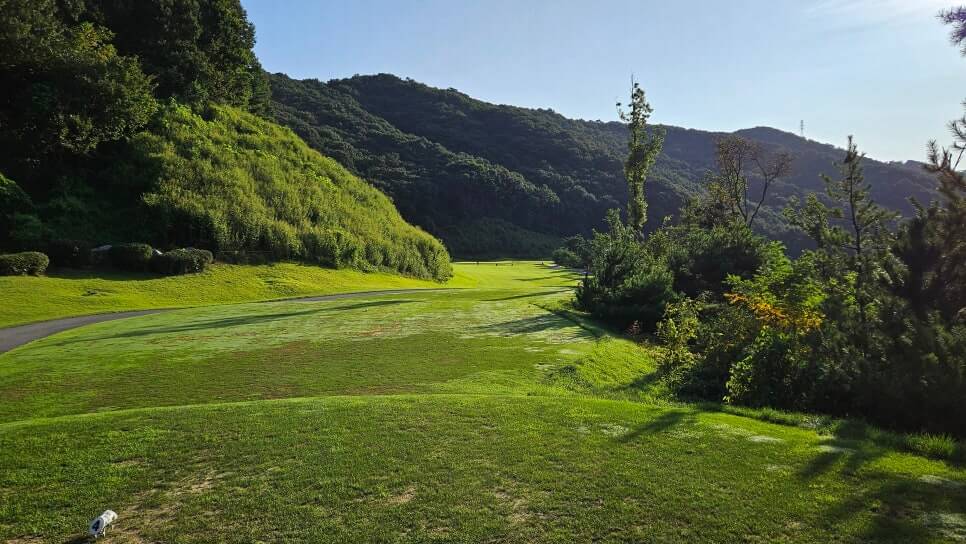 골프장 경험담 충주 세일cc 샷의 정교함이 필요한 골프장