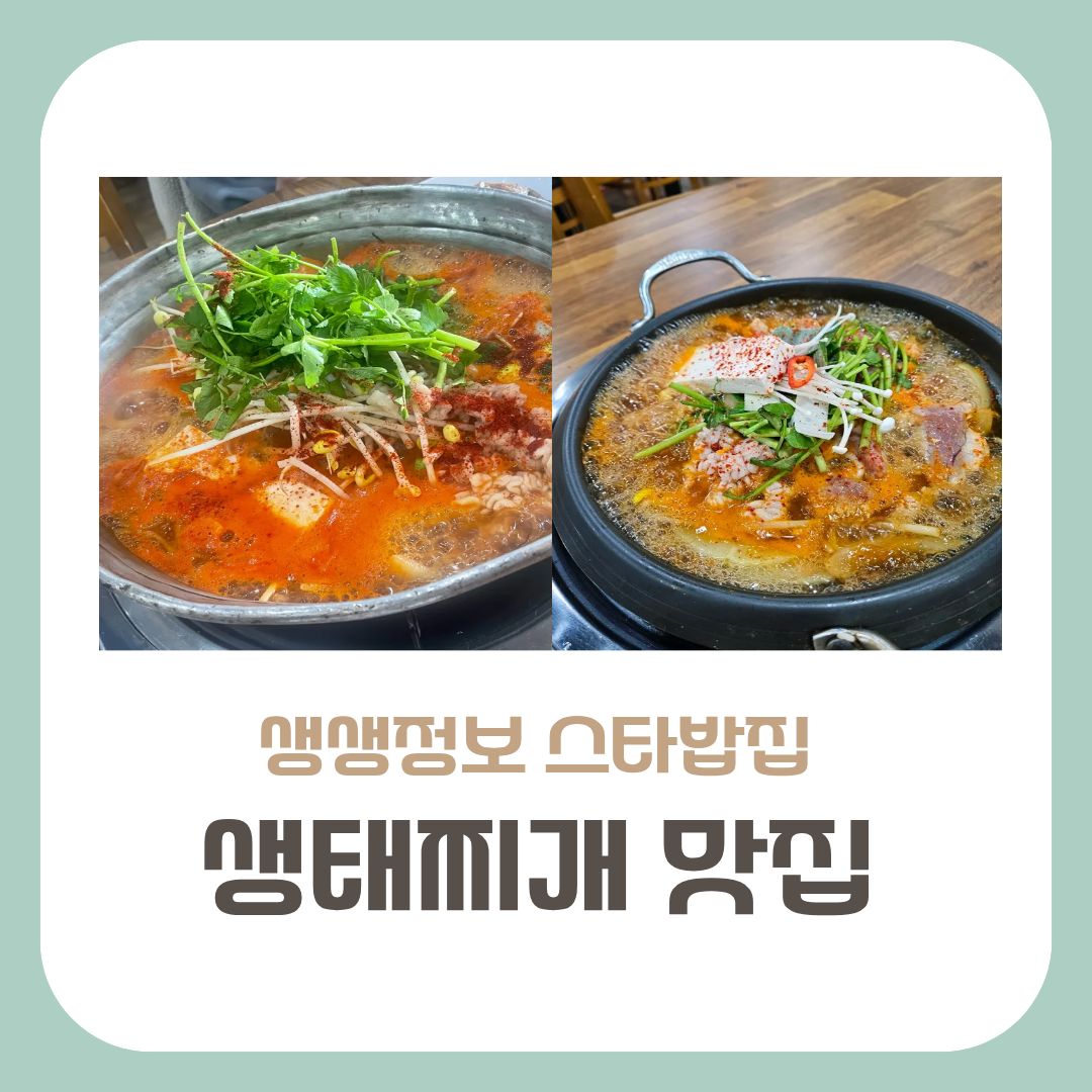 주문진 생태찌개