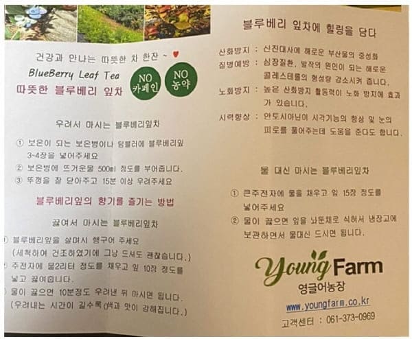 블루베리잎차-마시는방법