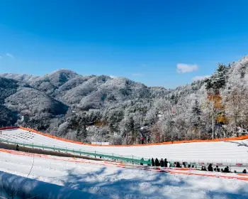 양주 눈꽃축제