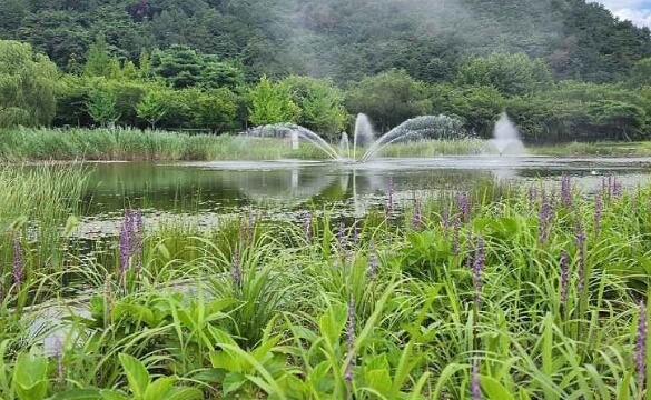 양산 가볼만한곳 베스트 10