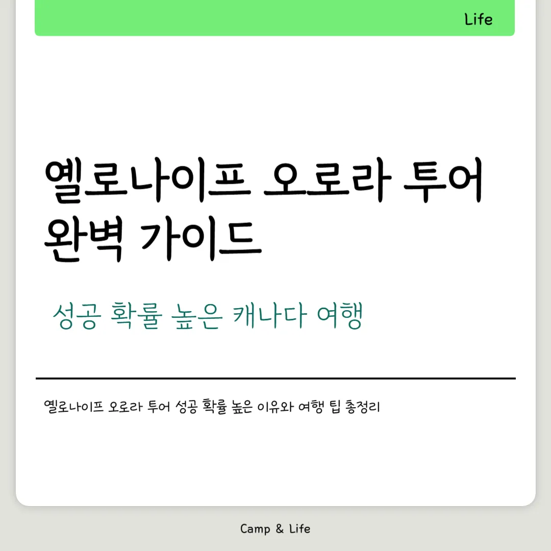 옐로나이프 오로라 투어