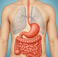소화잘되는 음식