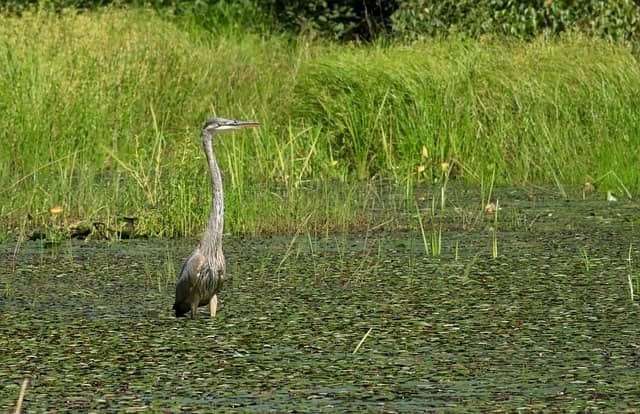 도시 물순환 재설계: AI로 분석하는 우수 유출과 빗물관리