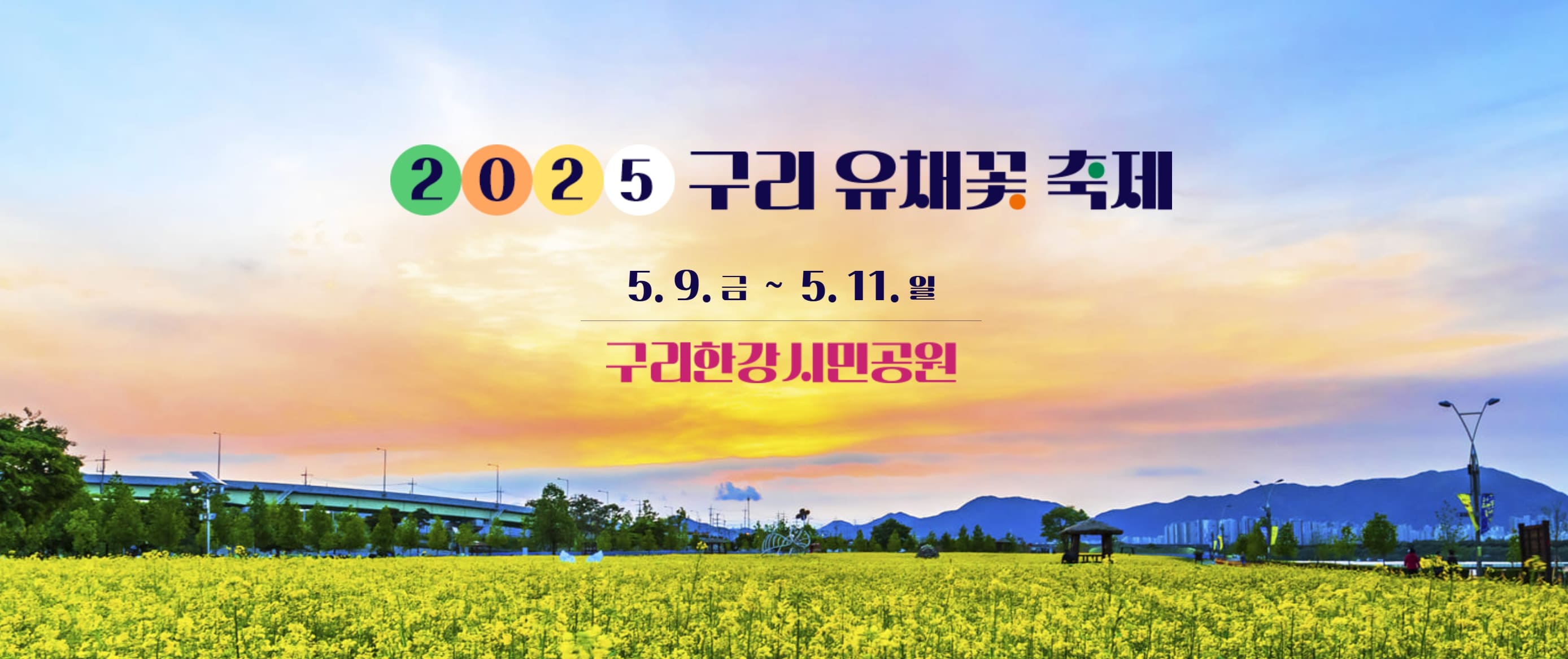 2025 구리 유채꽃 축제 사진