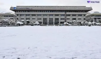인천 체감온도 바닷바람 활용 한낮 이동 시간 조절_21