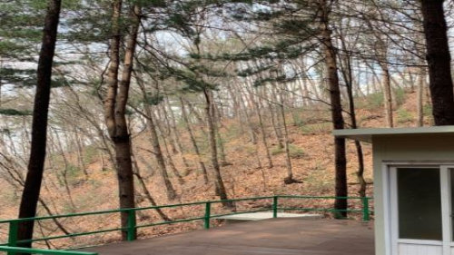 춘천숲 자연휴양림캠핑장
