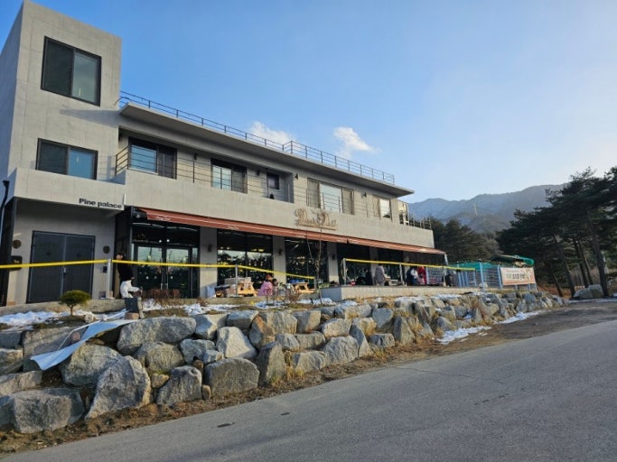 강릉 오리카페 디코이덕