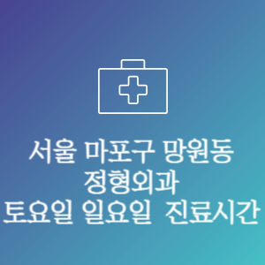 서울 마포구 망원동 주말 토요일 일요일 문여는 병원 진료시간