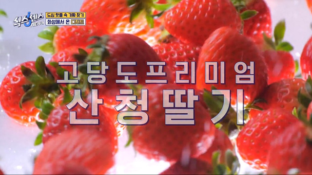 식스센스 수원 2회 맛집 정보 김치폭탄통닭 파르페 냉면꼬치 디믈리에 도토리캐리커쳐 여행