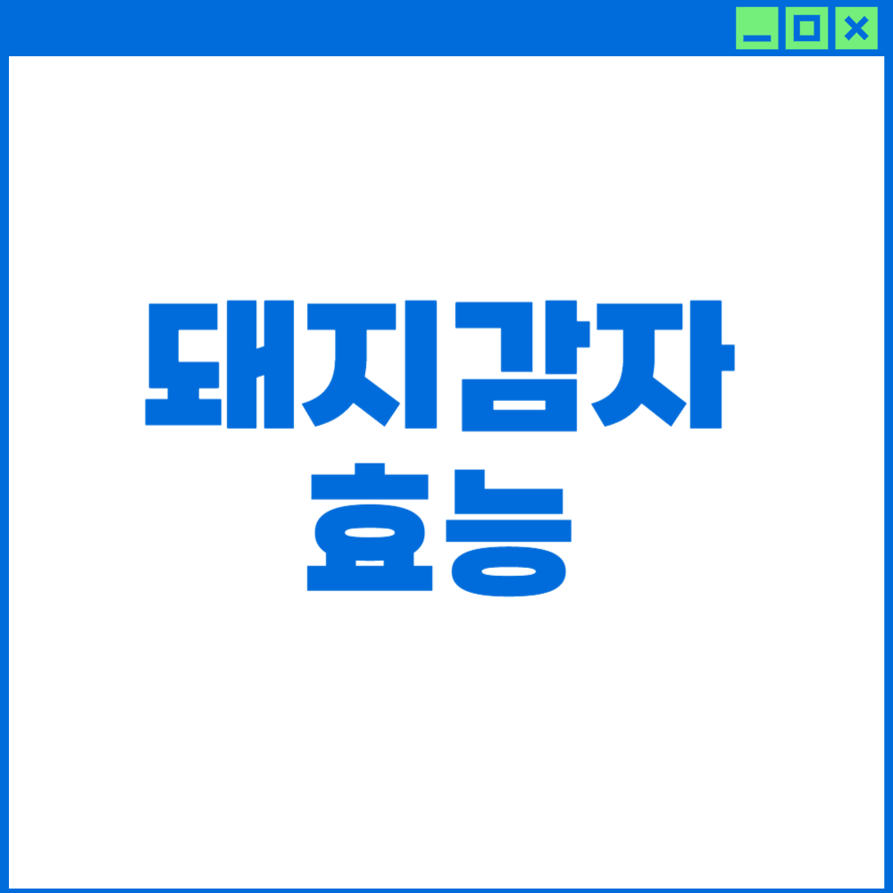 돼지 감자 효능