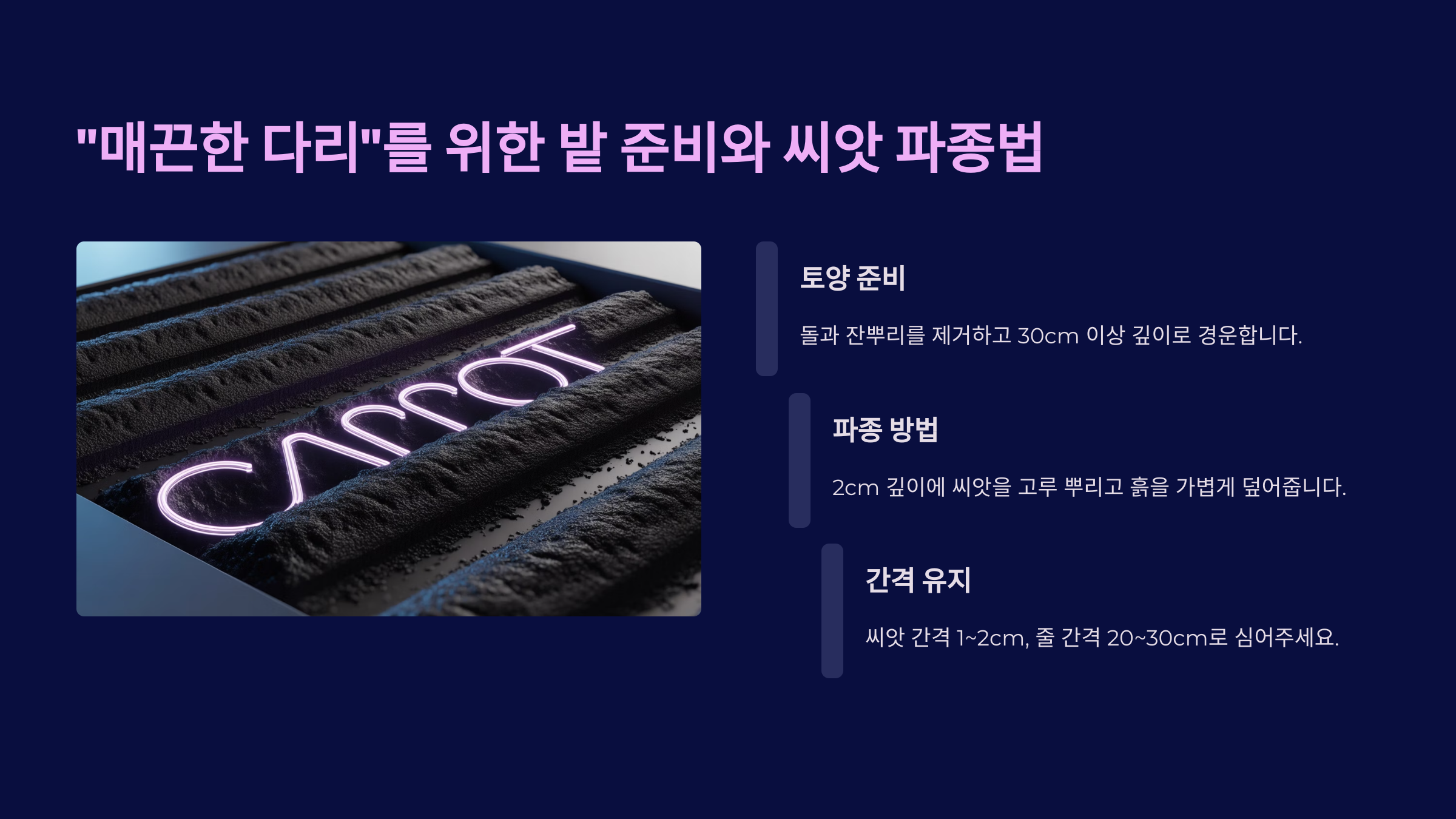 마음은 아프지만 필수! 당근 솎아주기 🌿