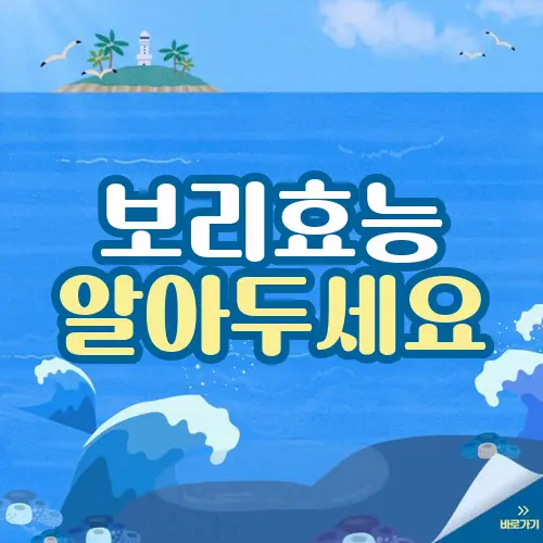 보리효능