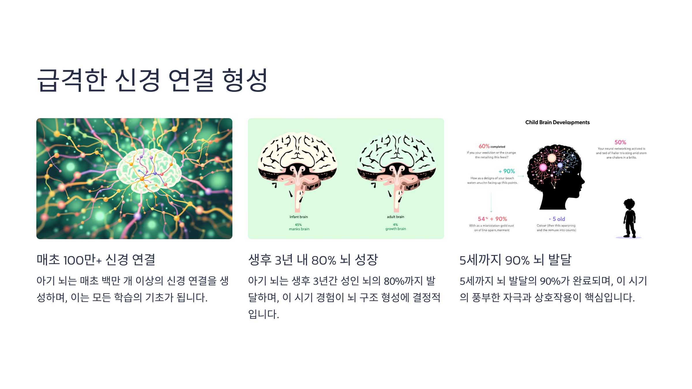 급격한 신경 연결 형성