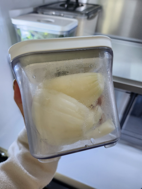 바퀜0.5L-속에든양파