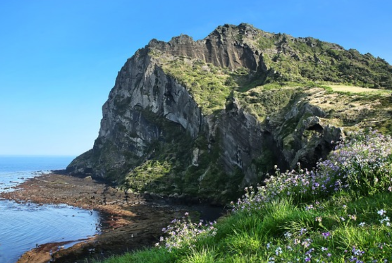 현지인 추천 지역별 제주 맛집